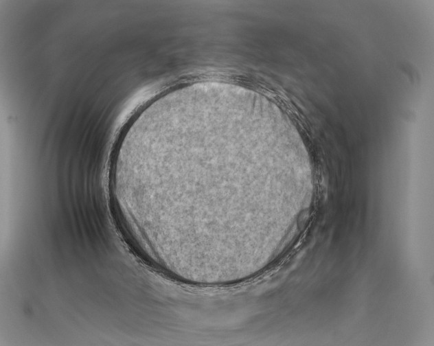 X0000112090006200909011113