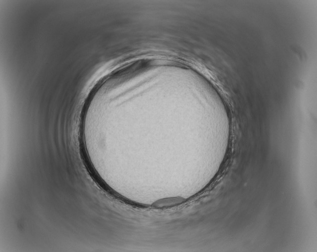 X0000112090007200909011113