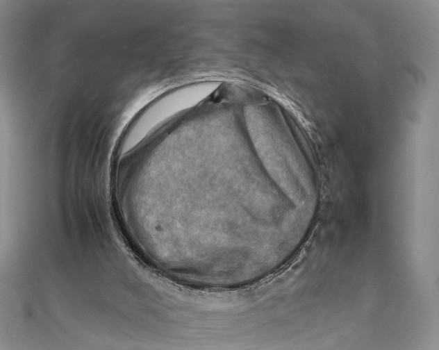 X0000112090008200909011113