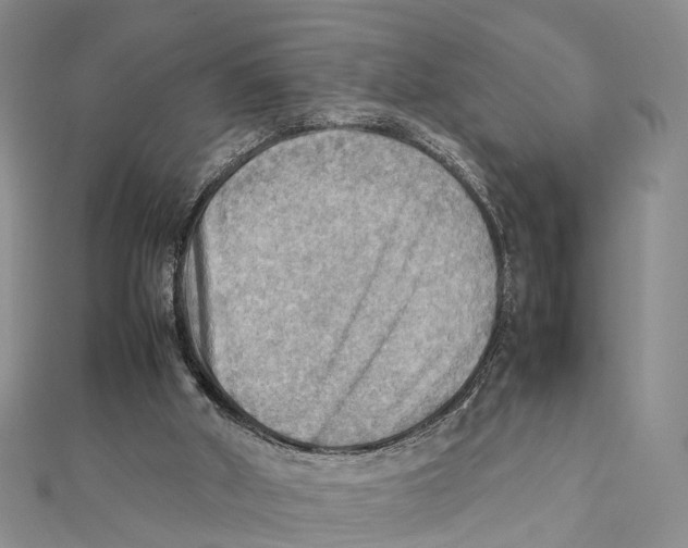 X0000112090010200909011113