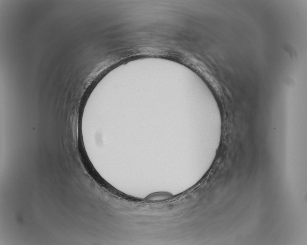X0000112090011200909011113