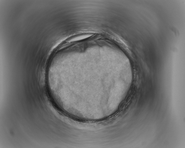 X0000112090012200909011113