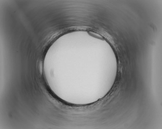 X0000112090013200909011113