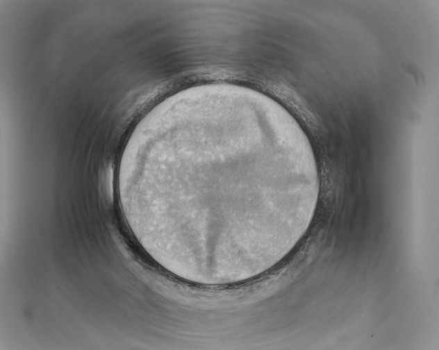 X0000112090014200909011113