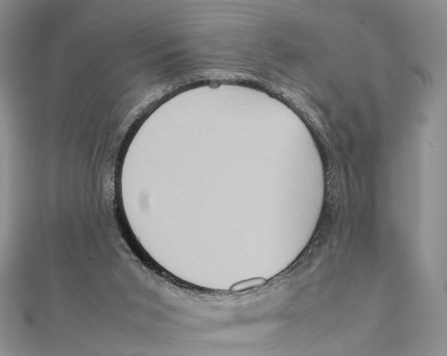 X0000112090015200909011113