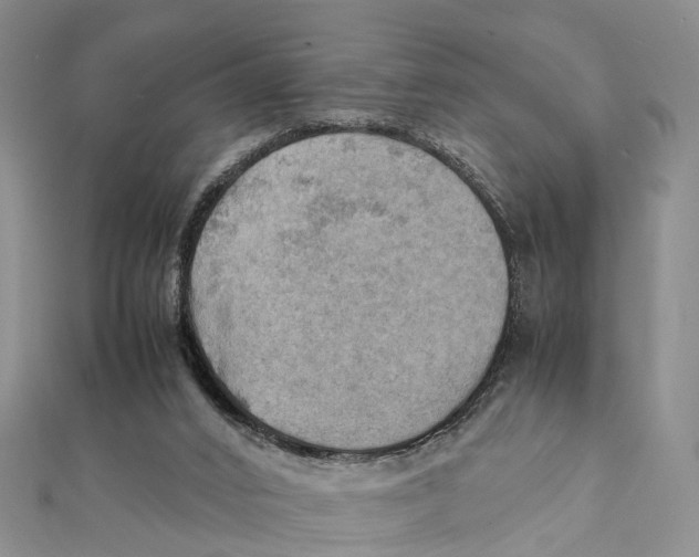 X0000112090016200909011113