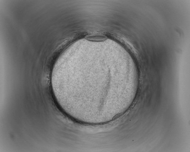 X0000112090017200909011113