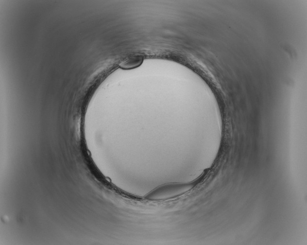 X0000112090019200909011113