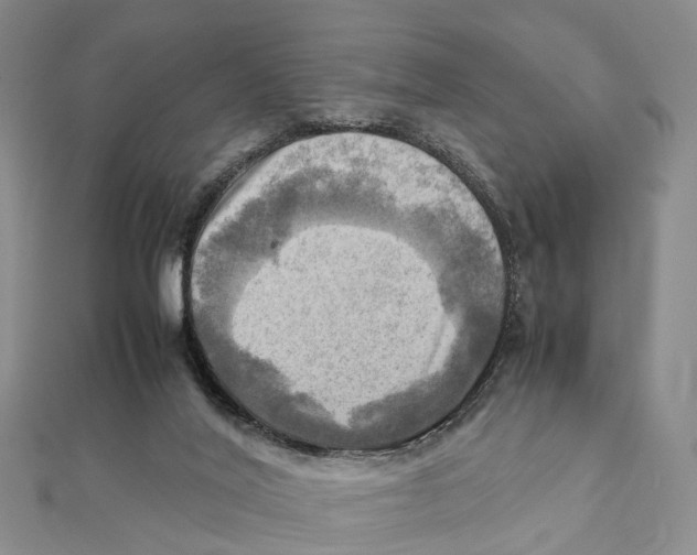X0000112090020200909011113