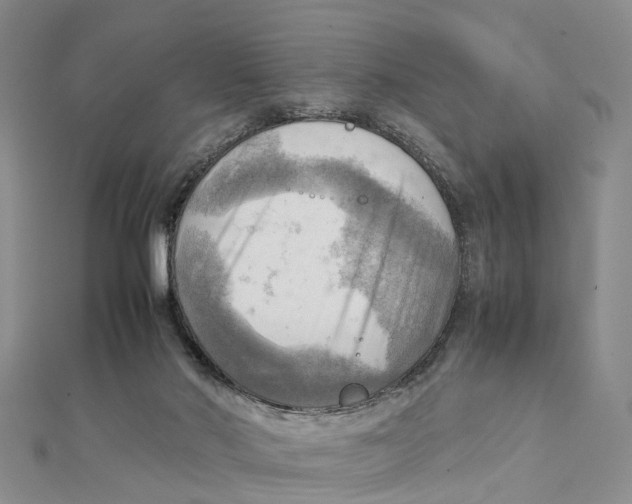 X0000112090022200909011113