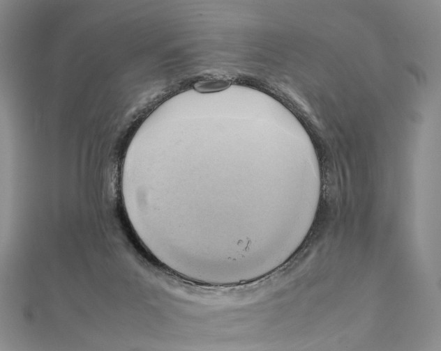 X0000112090023200909011113