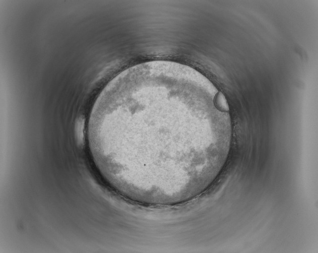 X0000112090024200909011113