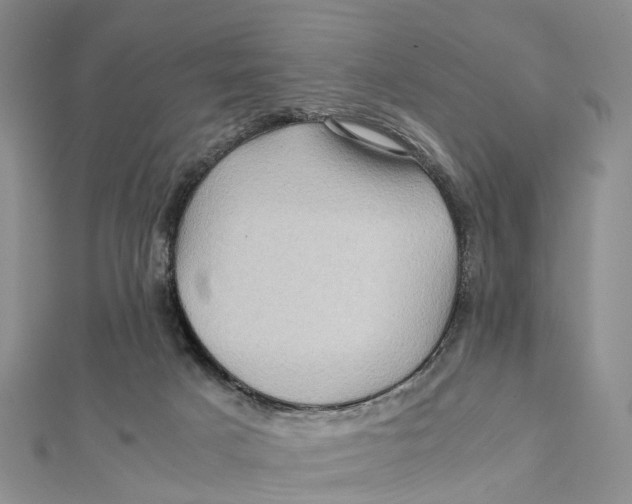 X0000112090025200909011113