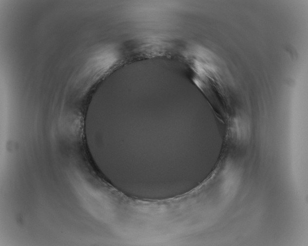 X0000112090029200909011113