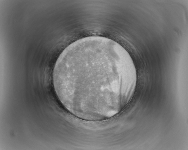 X0000112090030200909011113