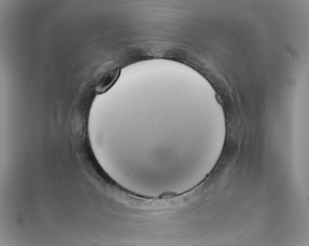 X0000112090031200909011113