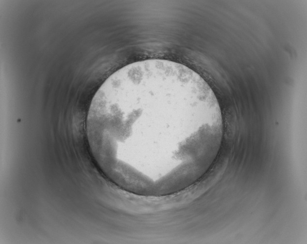 X0000112090034200909011113