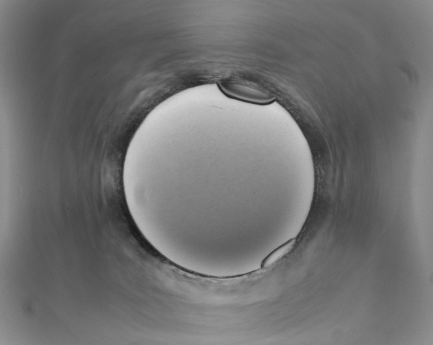 X0000112090035200909011113