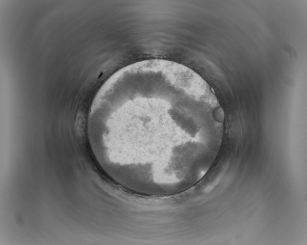 X0000112090036200909011113
