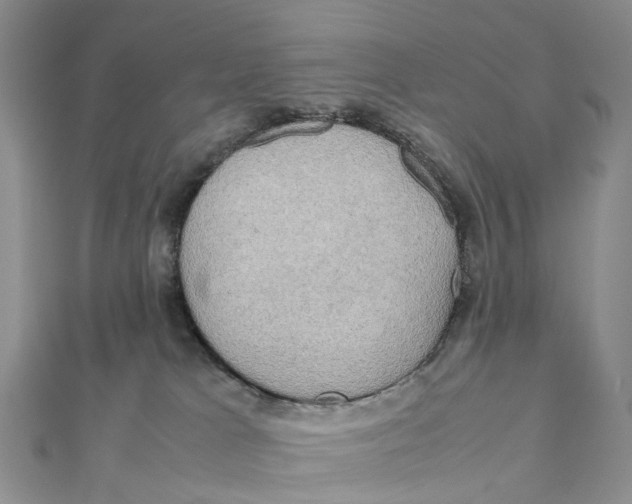 X0000112090037200909011113