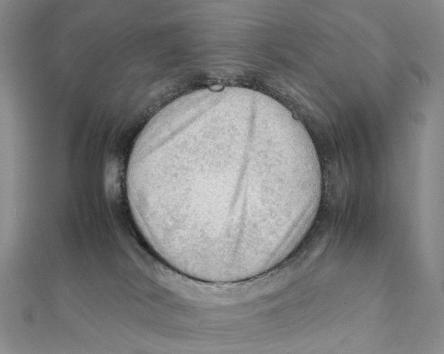 X0000112090038200909011113