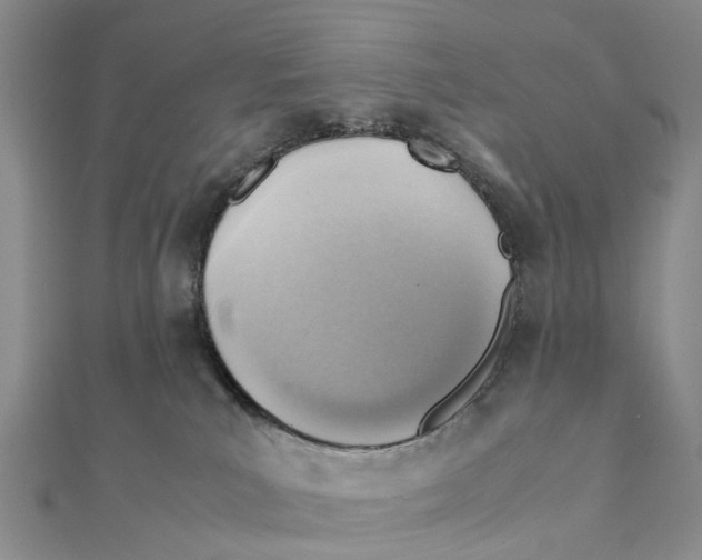X0000112090039200909011113
