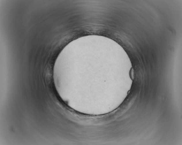 X0000112090040200909011113