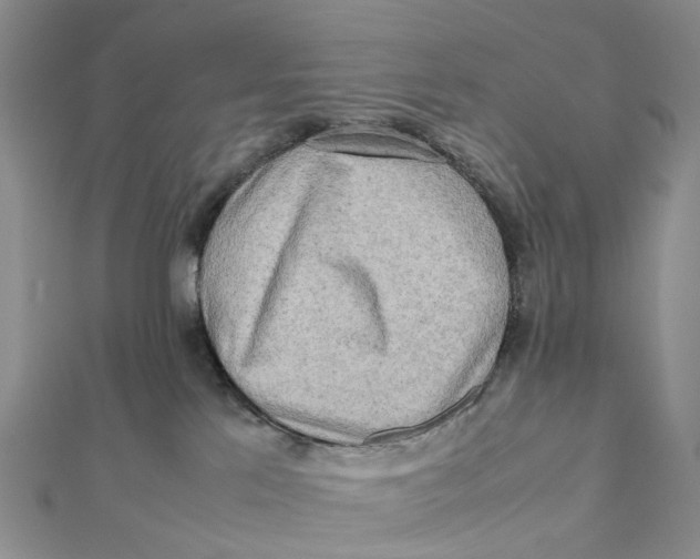 X0000112090041200909011113