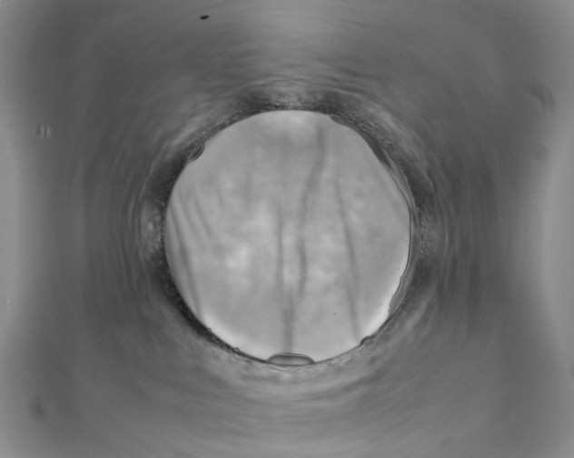 X0000112090043200909011113