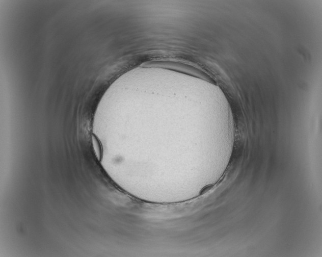 X0000112090045200909011113