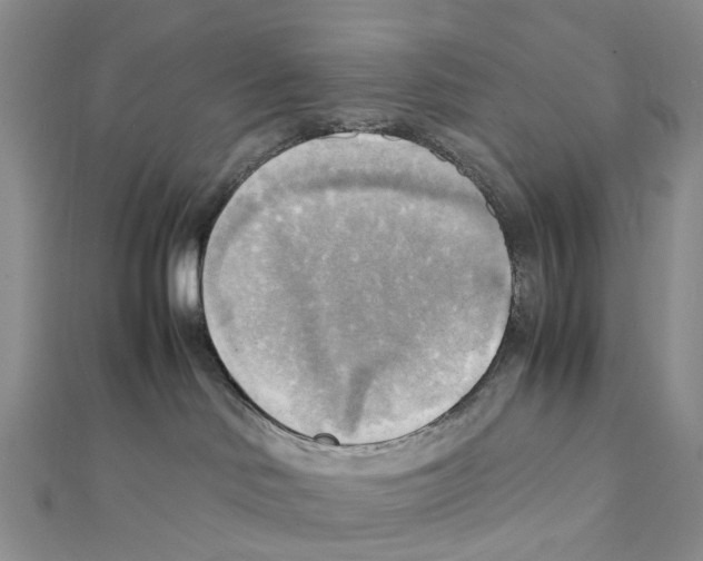X0000112090046200909011113