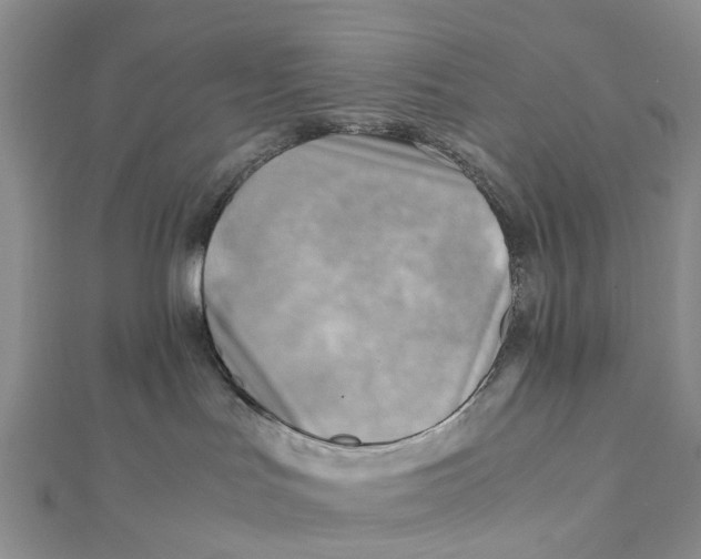 X0000112090047200909011113