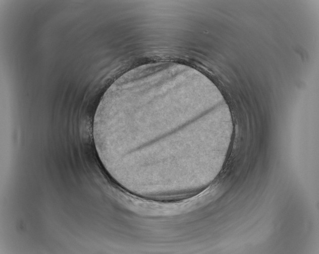 X0000112090048200909011113