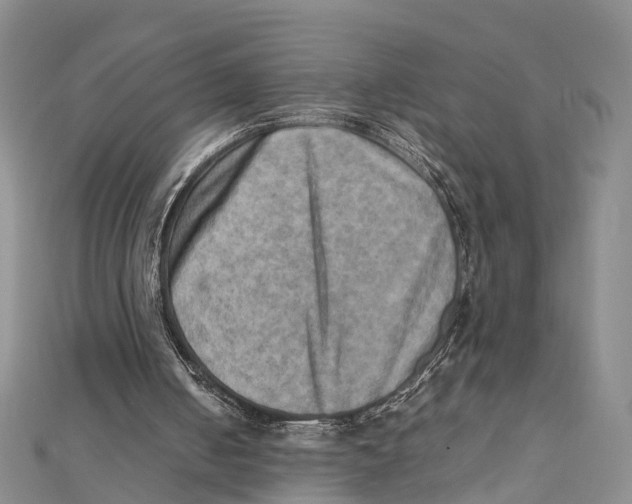 X0000112090050200909011112