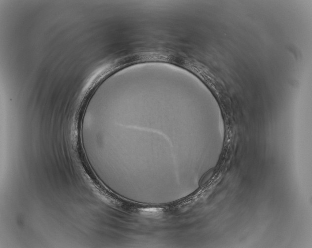 X0000112090053200909011112