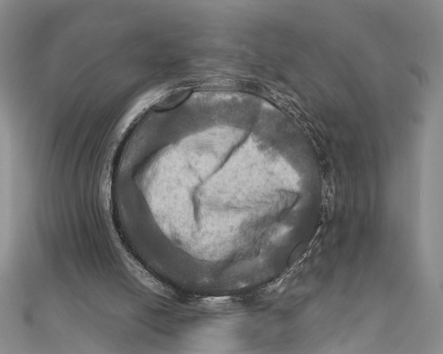 X0000112090054200909011112