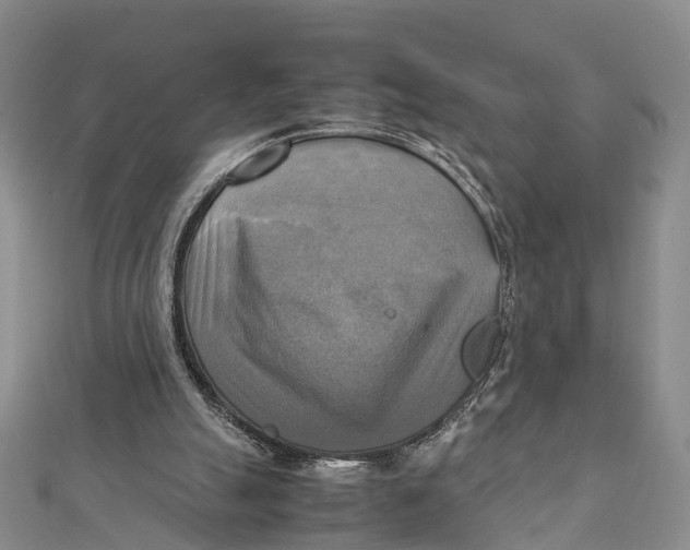 X0000112090055200909011112