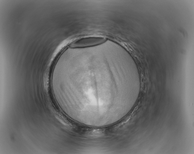 X0000112090056200909011112