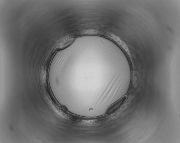 X0000112090057200909011112