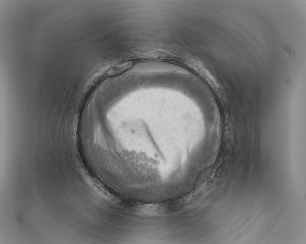 X0000112090058200909011112