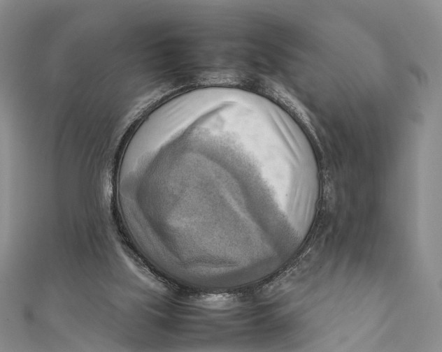 X0000112090059200909011112