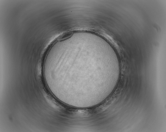 X0000112090060200909011112