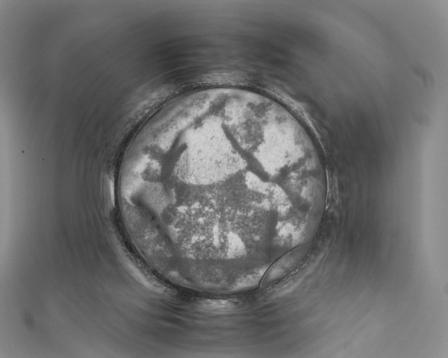 X0000112090061200909011112