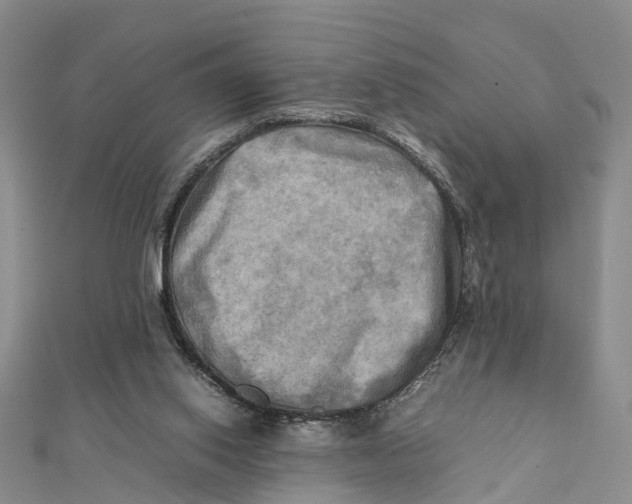 X0000112090062200909011112
