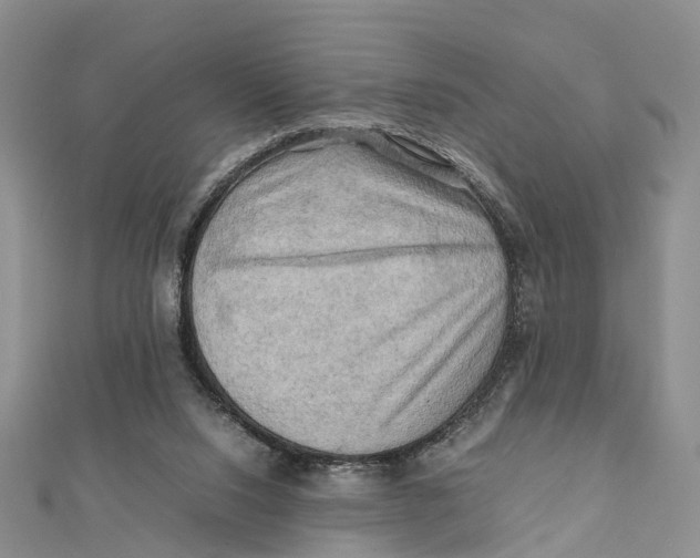 X0000112090064200909011112