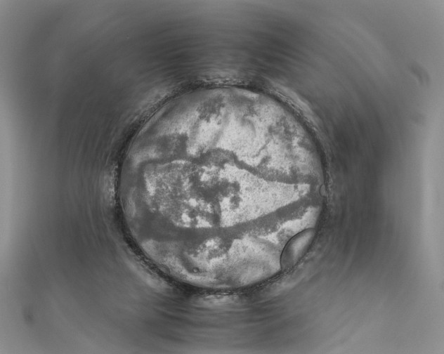 X0000112090065200909011112