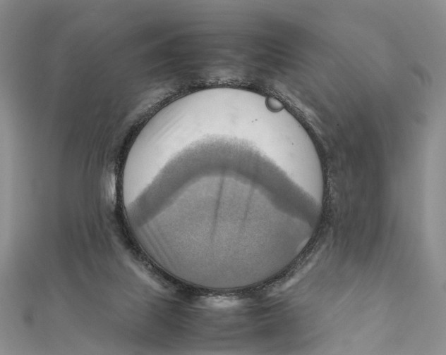 X0000112090067200909011112