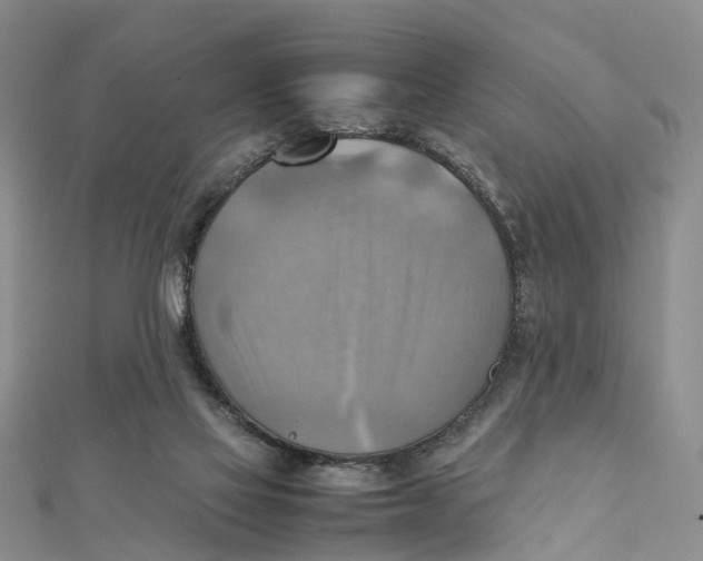 X0000112090069200909011112