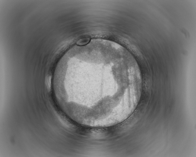 X0000112090070200909011112