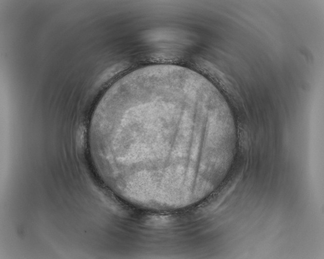 X0000112090071200909011112